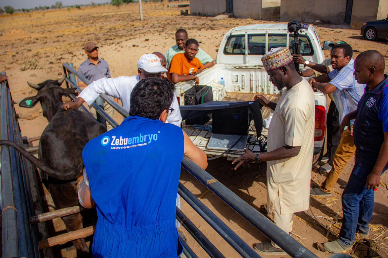 Primeira transferência de embrião da história da Nigéria