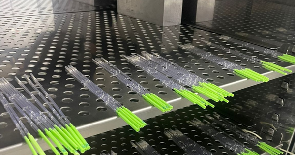 Primeira exportação de embriões para a índia