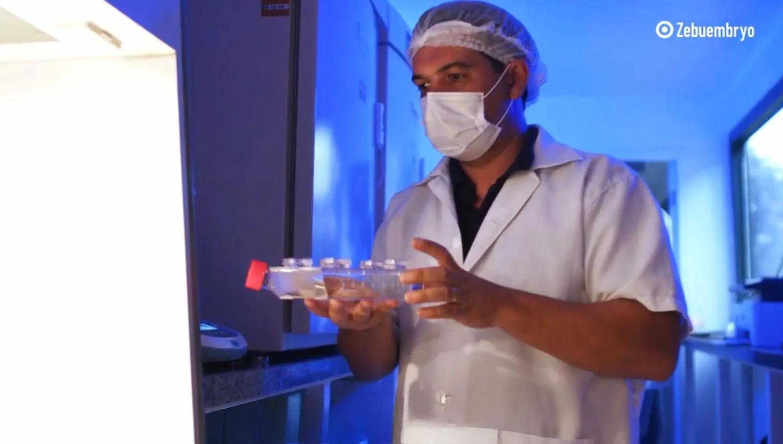 Laboratório de embriões