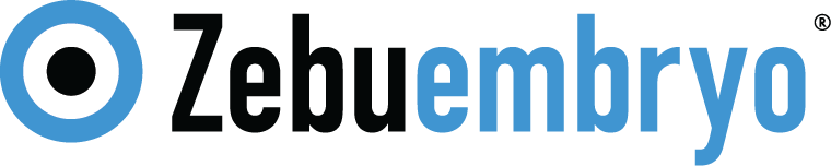 Zebuembryo