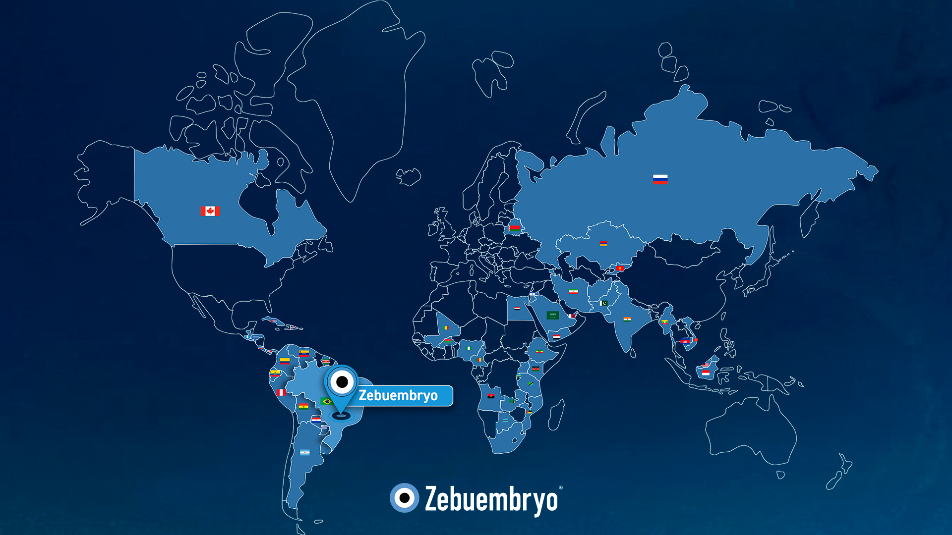 Mapa de exportações